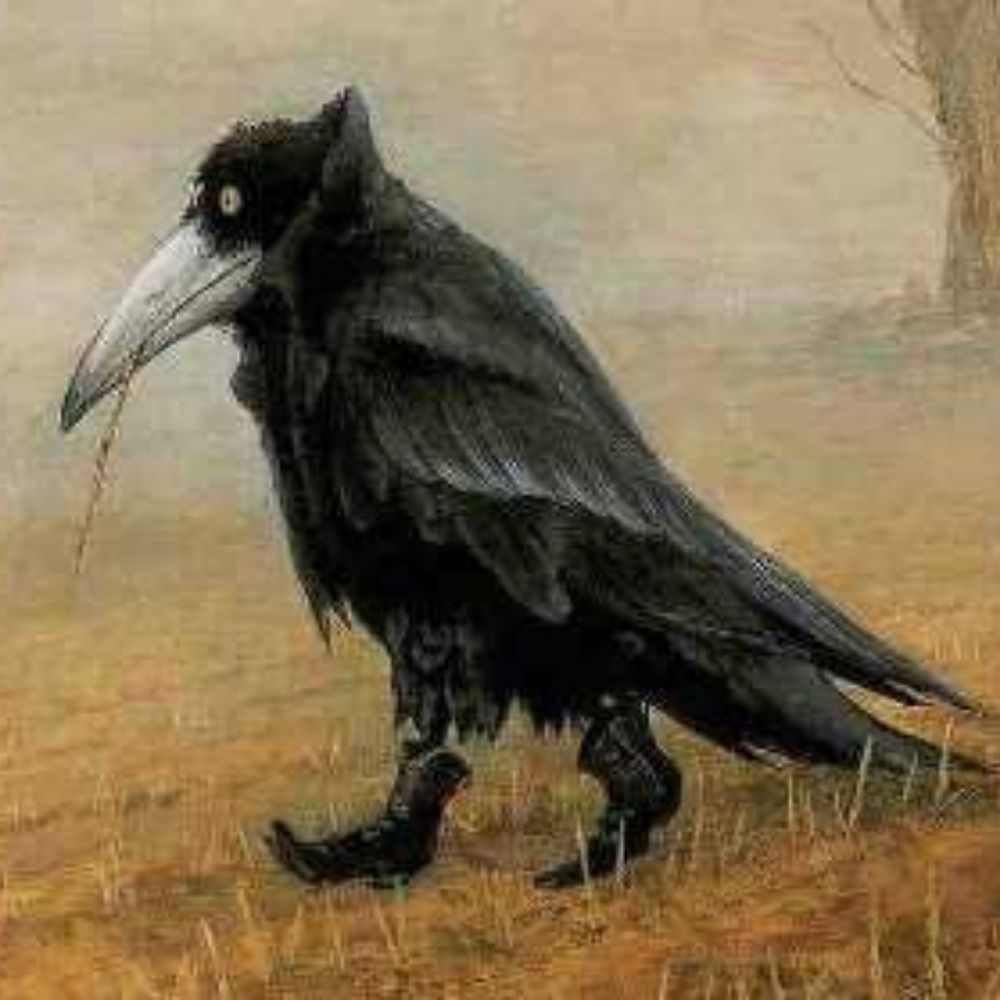 storm-song crow-beast 🕯's avatar