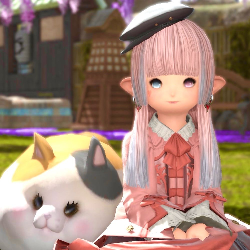 saa ໒꒱· ﾟ