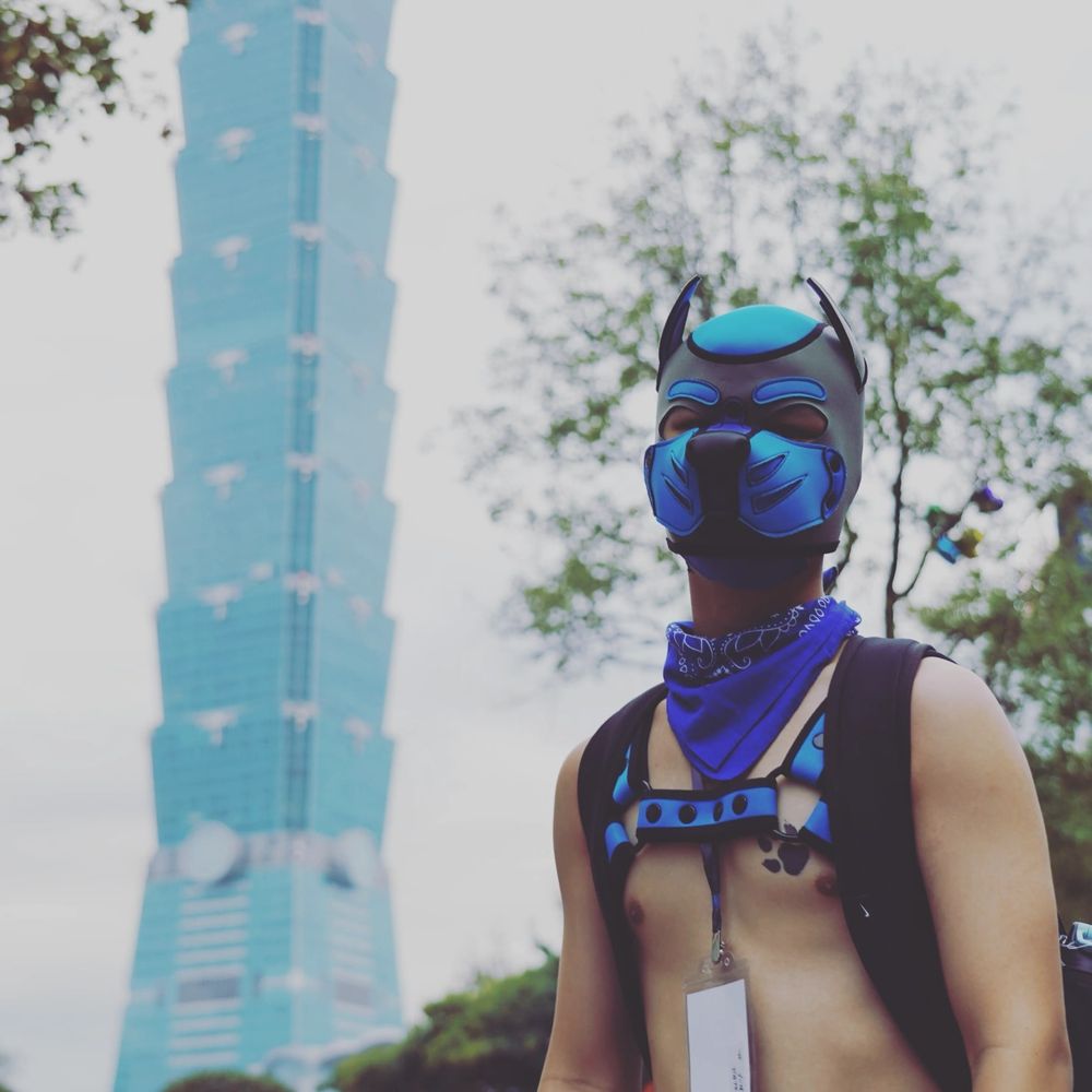 壞狗狗 Baddog