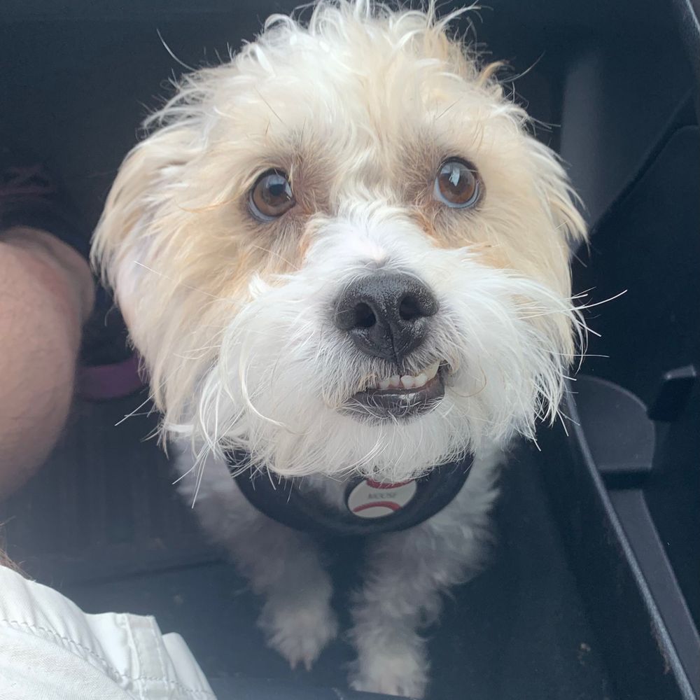 Bobson Dugnutt