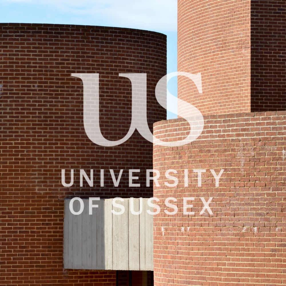 Sussex European Institute (SEI)