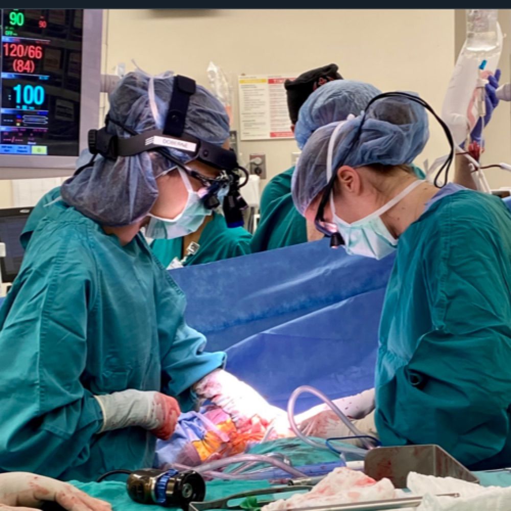 Julie Doberne MD PhD