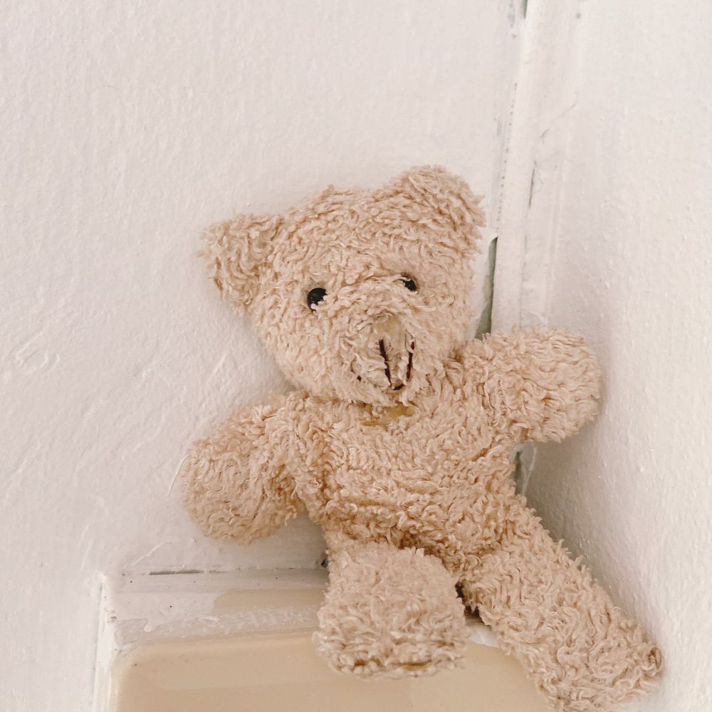 🧸