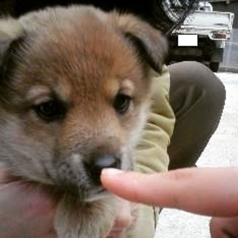 みとんほし