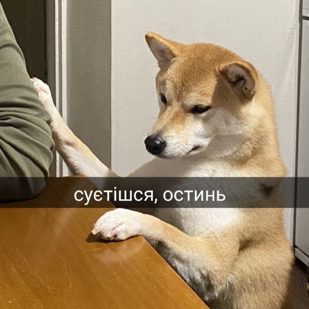 Emo Shiba