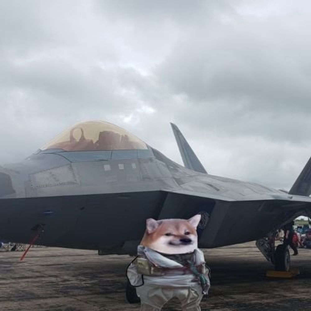 TAC Fella