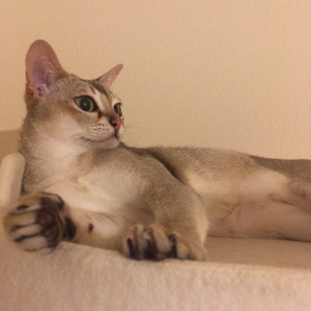 みさと
