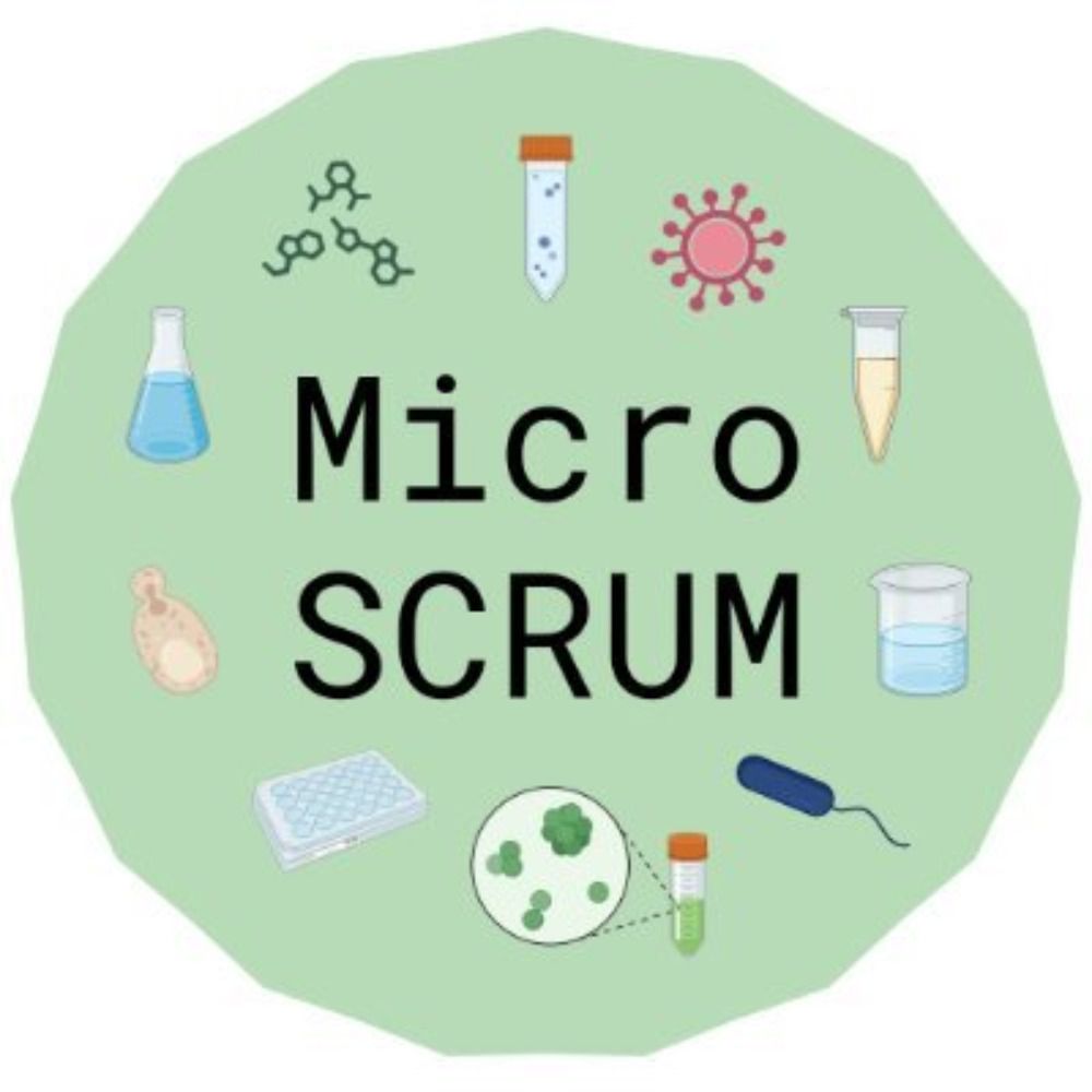microSCRUM