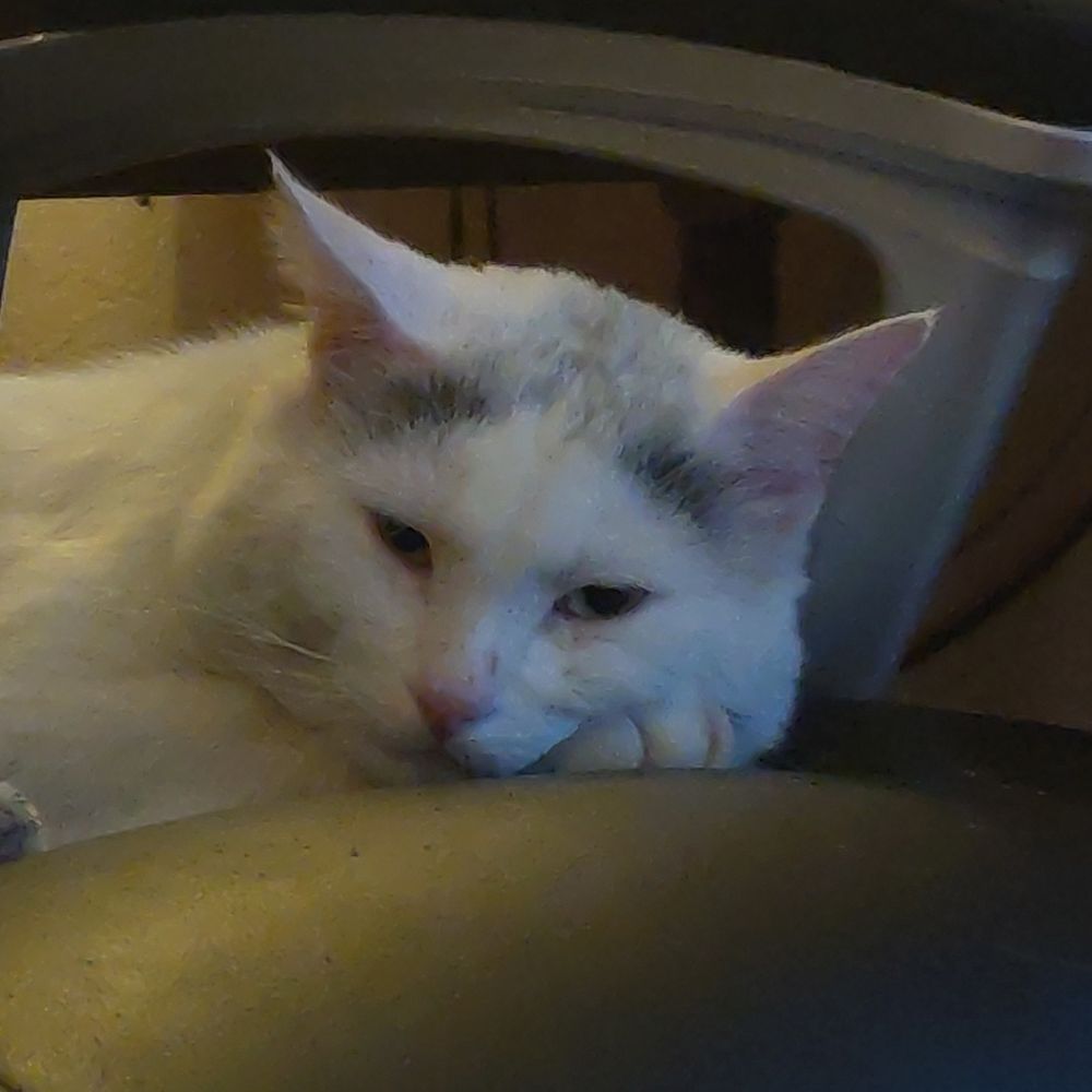 Fred die gast van Internet