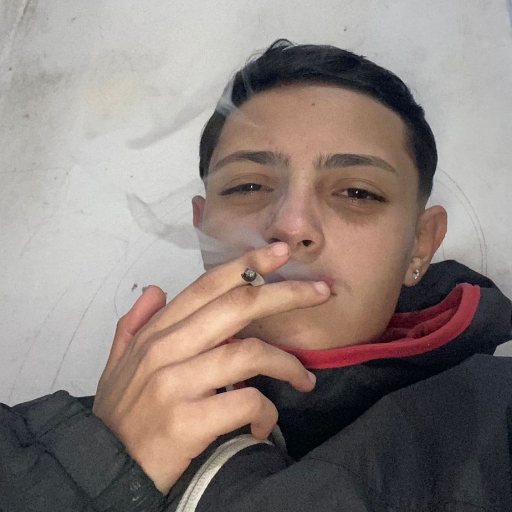 cordeiro