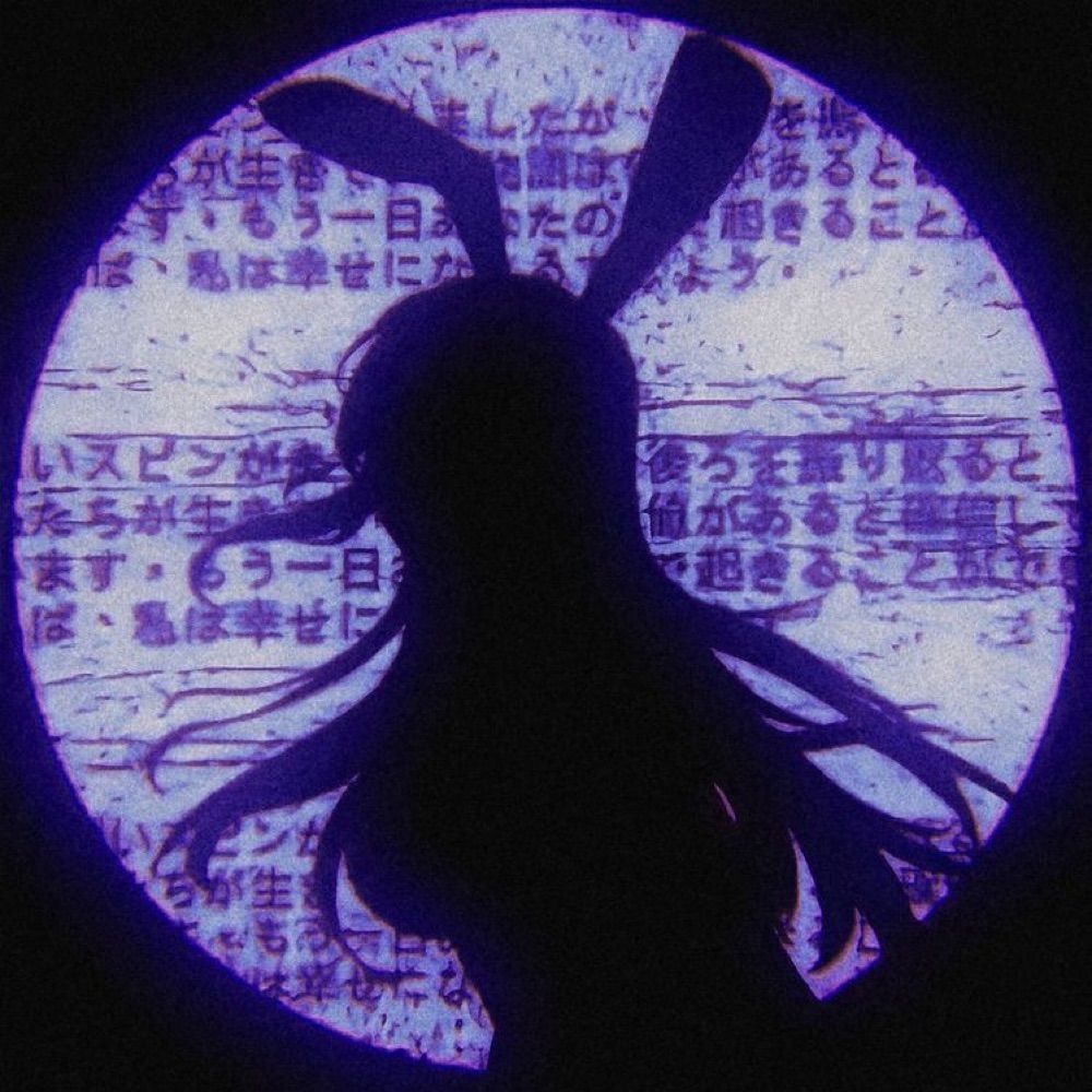 Raven 💟