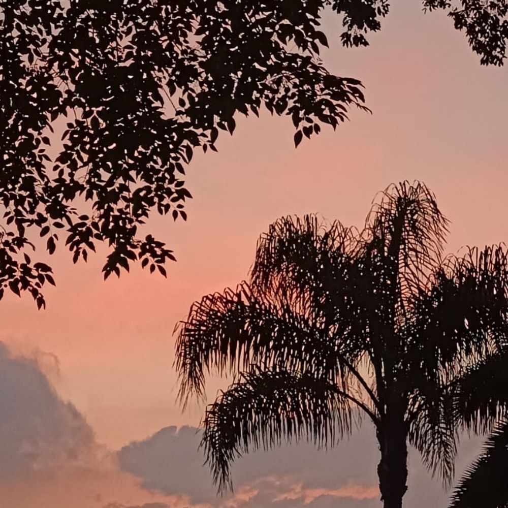Moiras_28