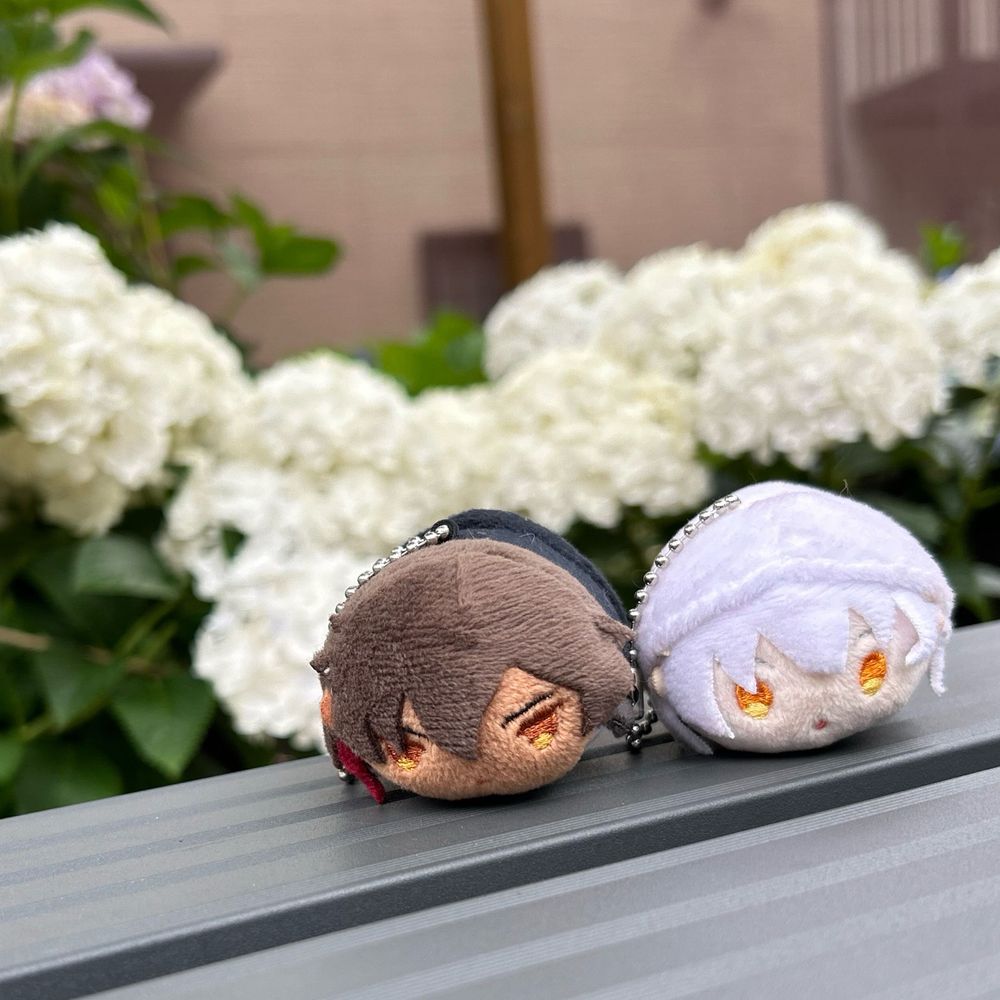 わかさ✿