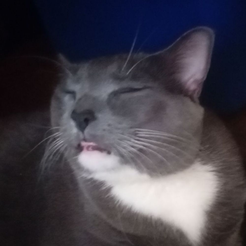 Jon