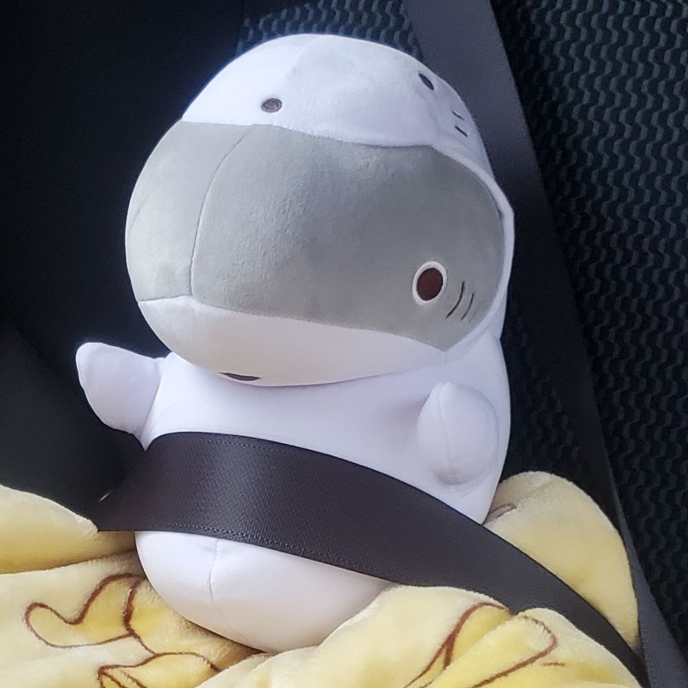 はむさし