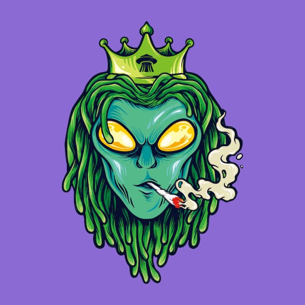 Stef 🌿