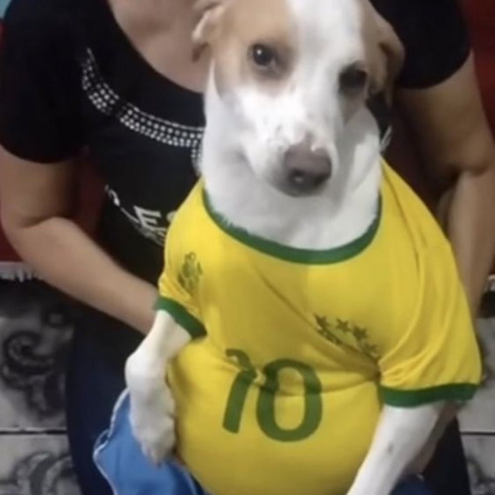 Morangoprinceso