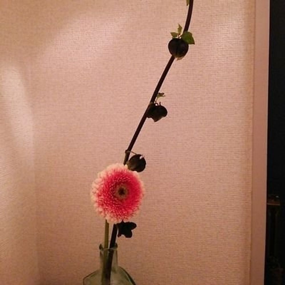 クローバー