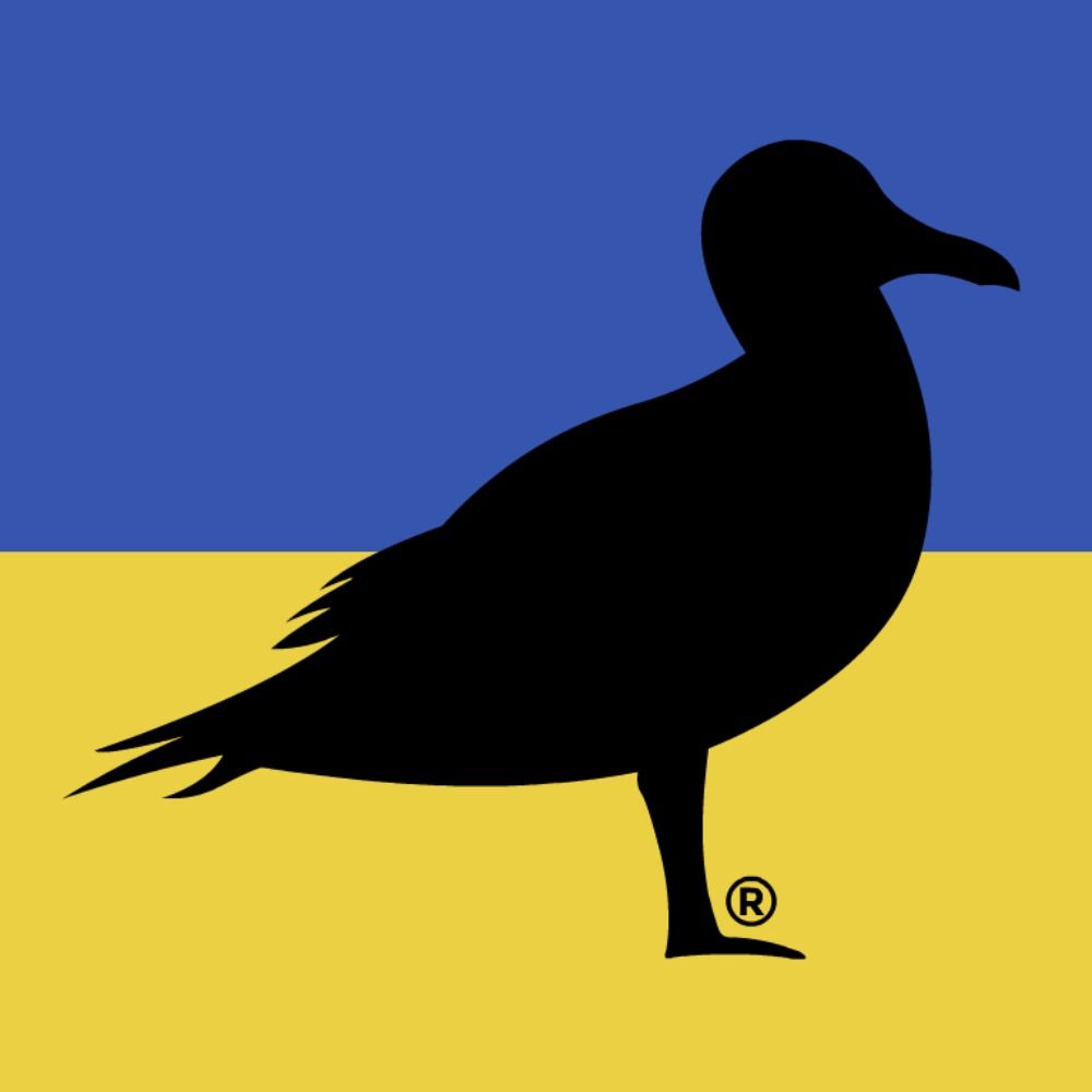 seagull