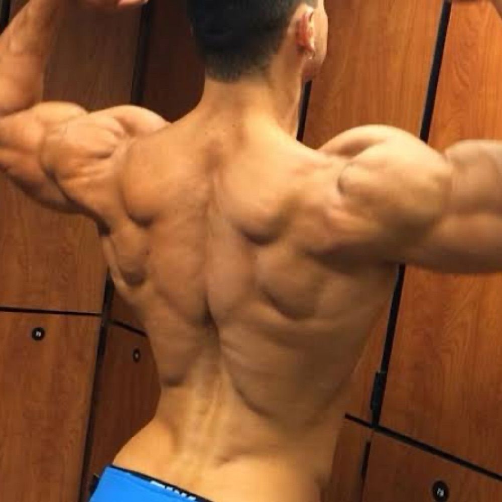 Monstrão! 💪🏻 🦍