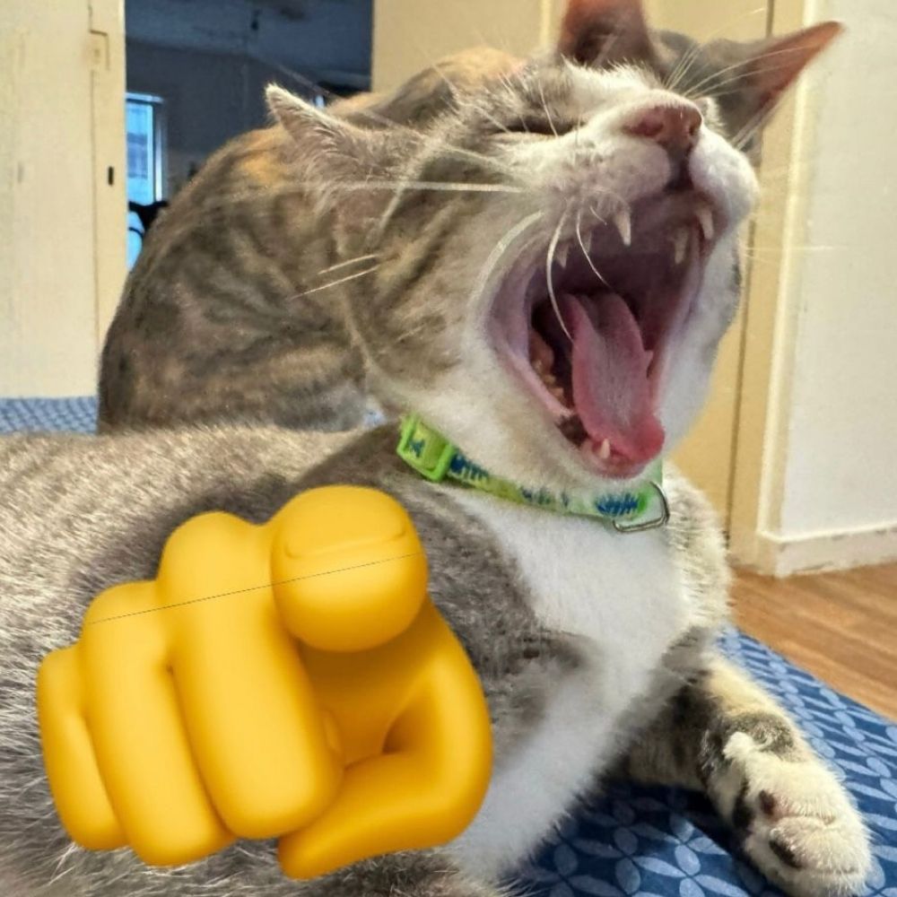 mario-brizuelas.bsky.social