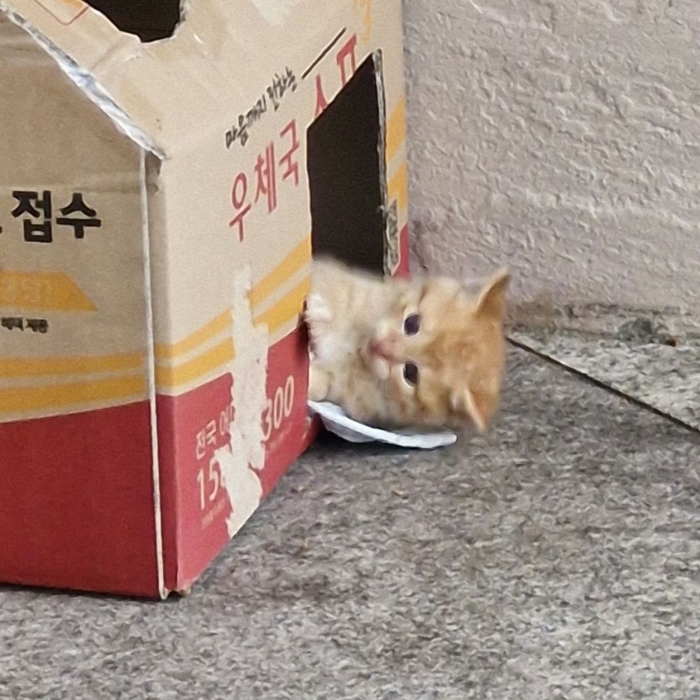 그림계 🍖 🕯