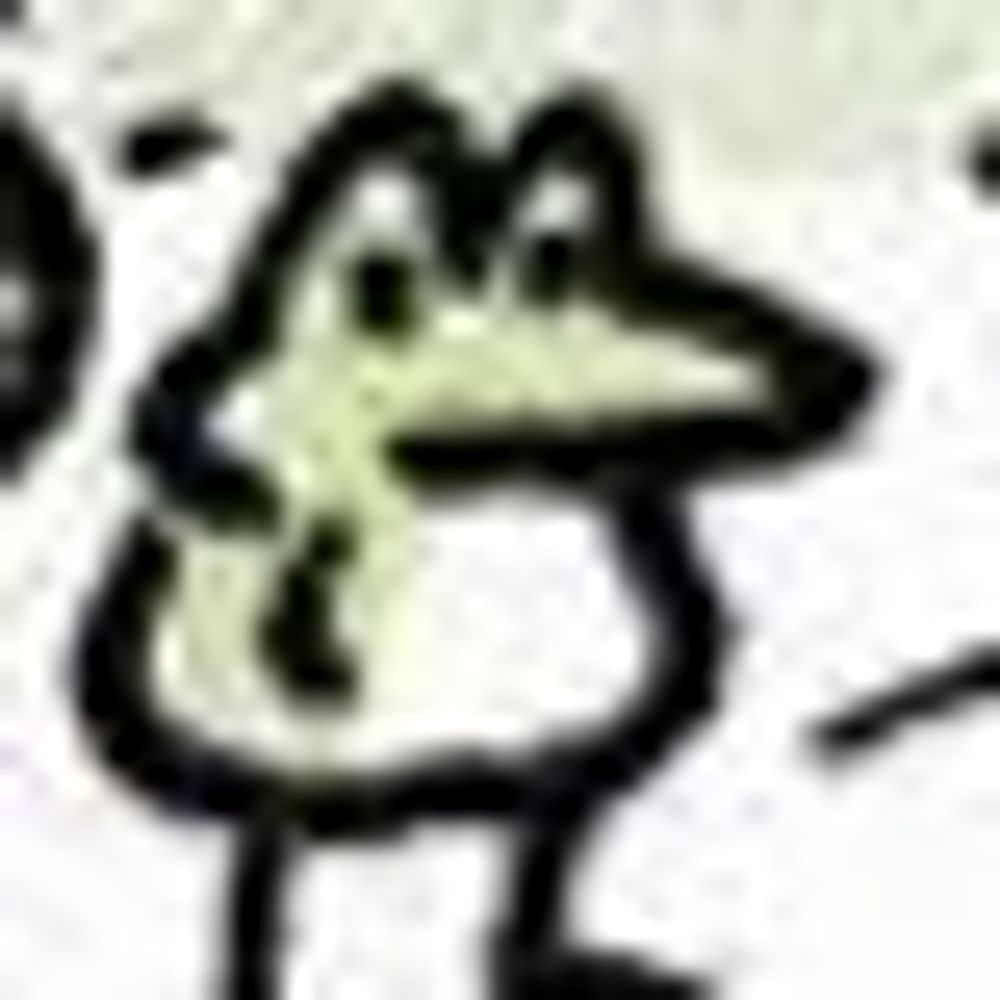 frog