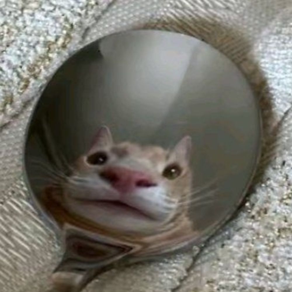 완두