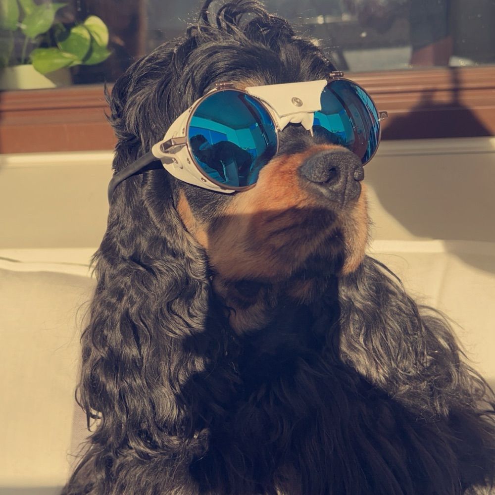 jeriksenn.bsky.social