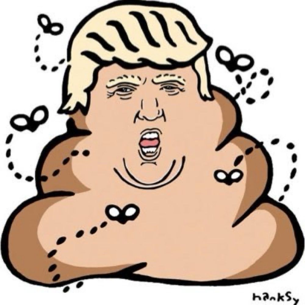 Profile picture anti-orangeturd.bsky.social