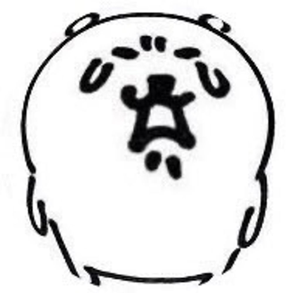 느이