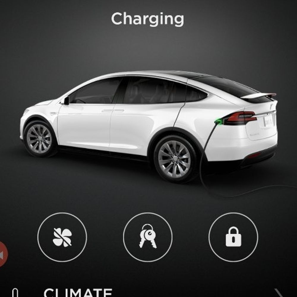 outbacktesla