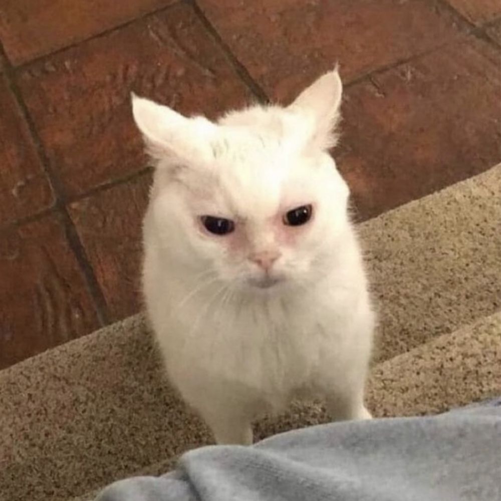 m4y0r
