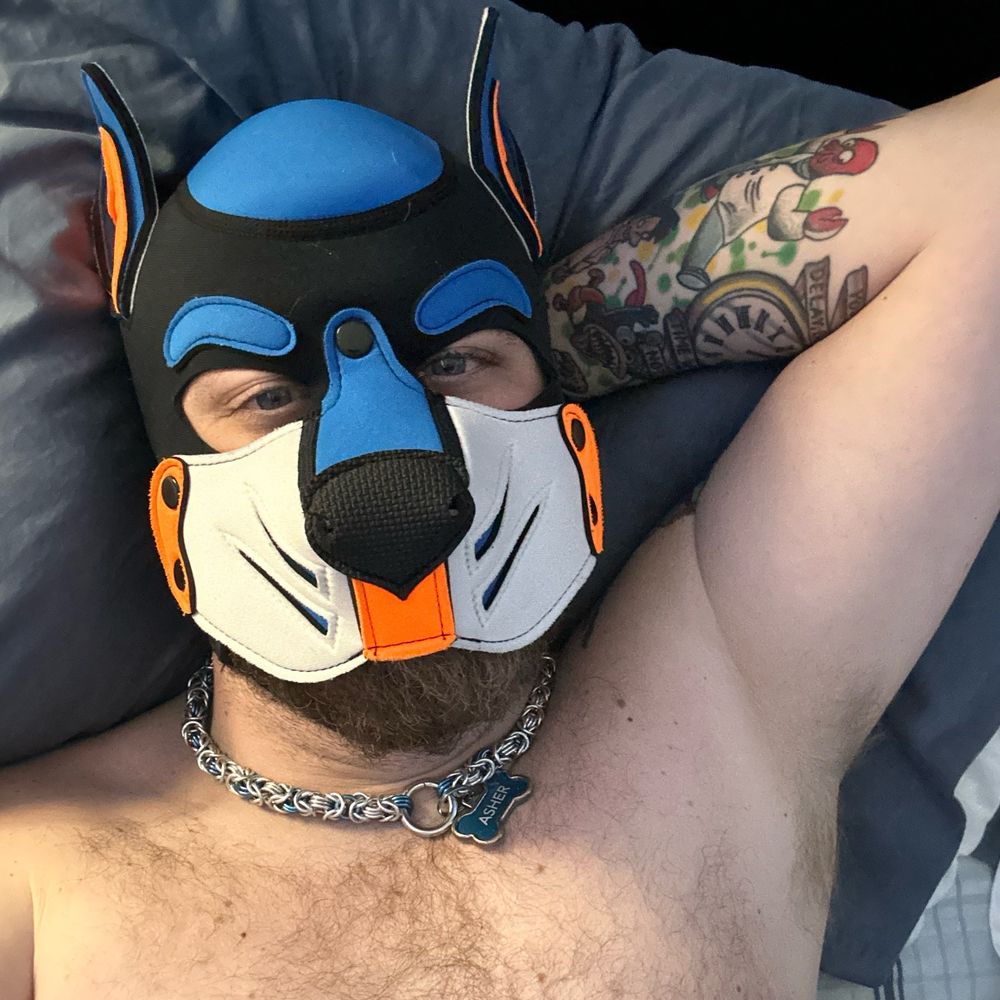Pup Asher