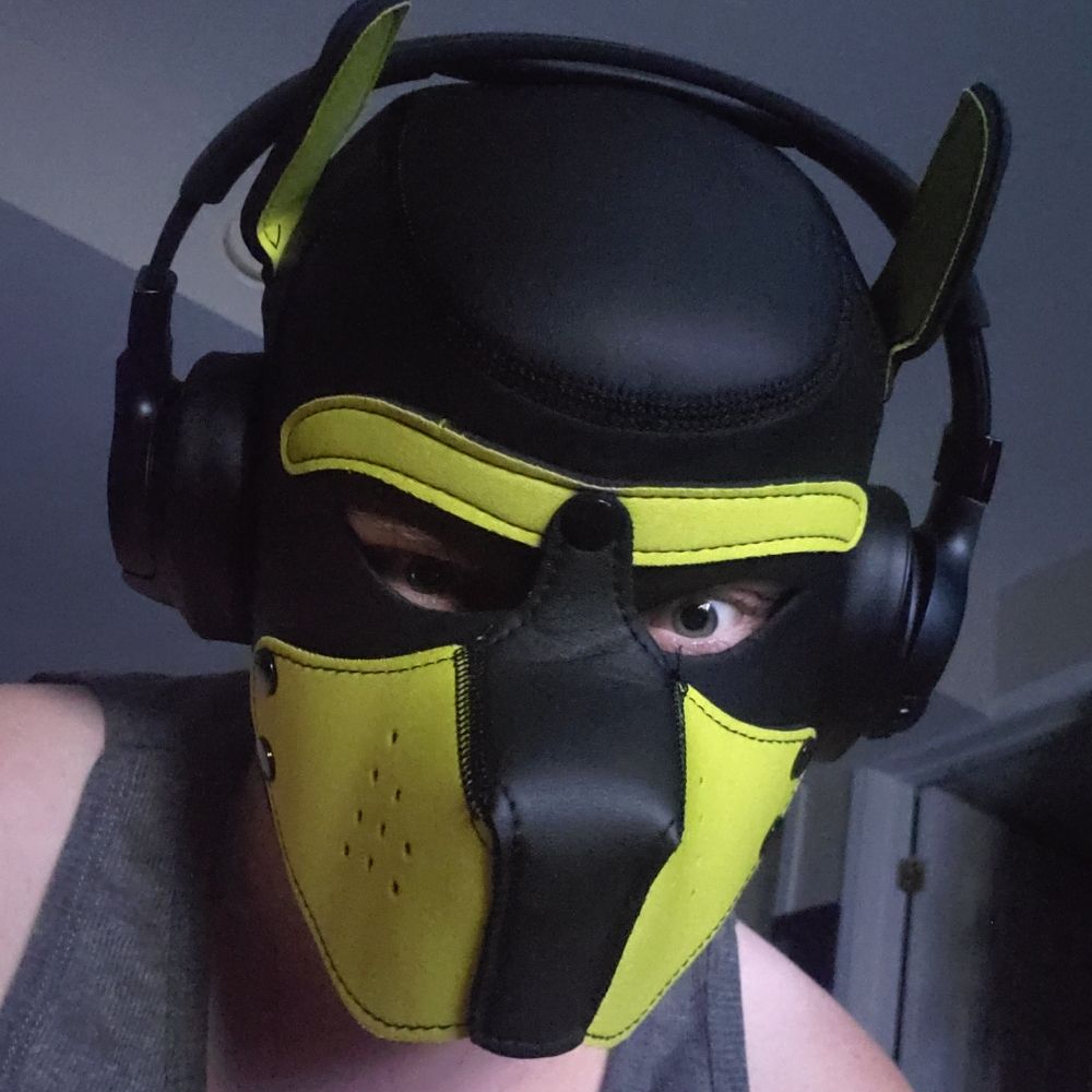 PupLumos