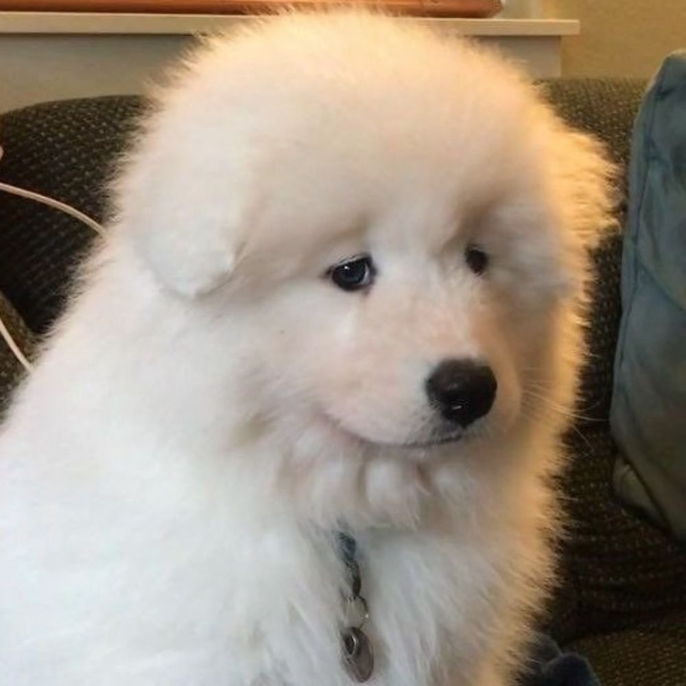 JaoBen