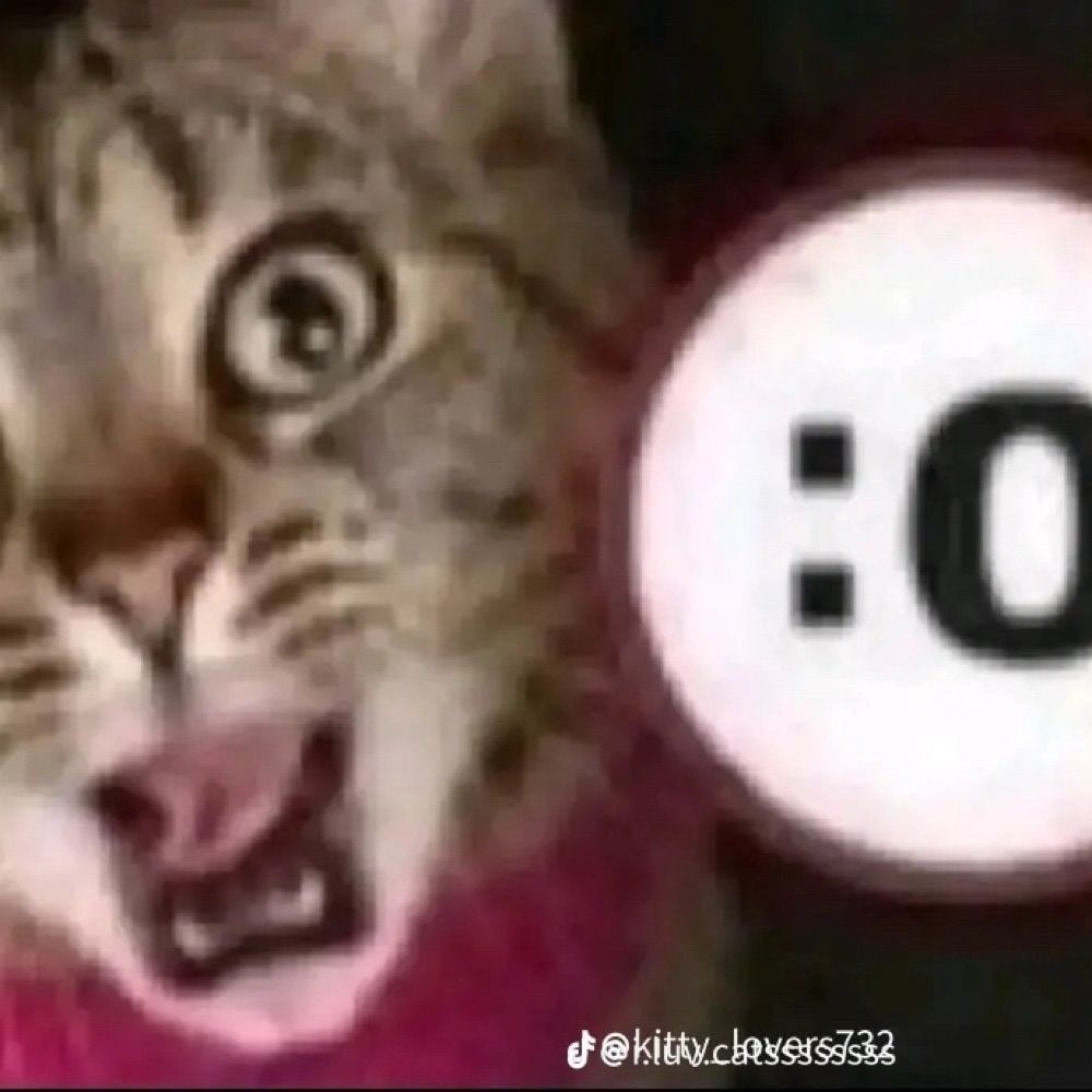 Freakmatcher69420