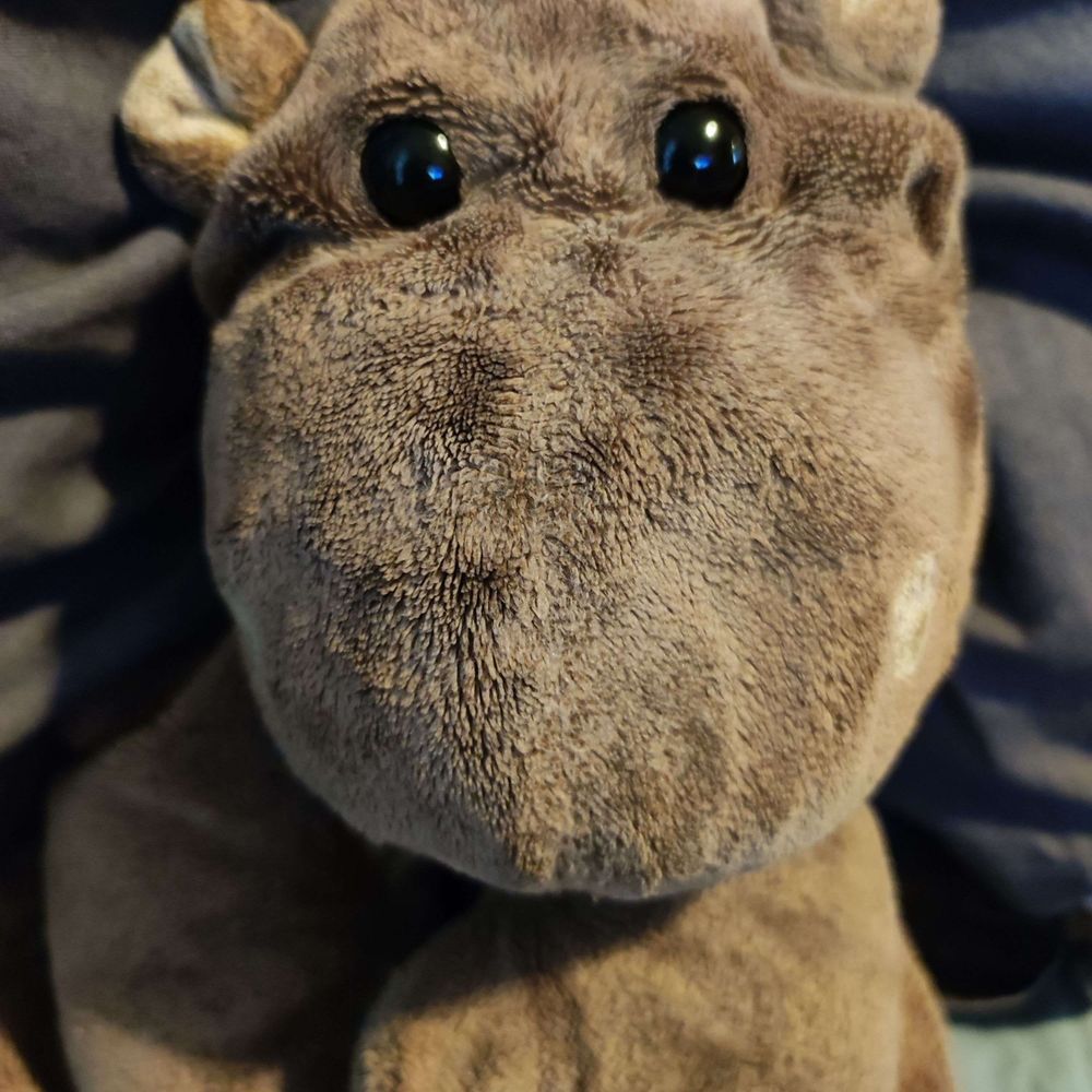 Cuddly_Hippo's avatar