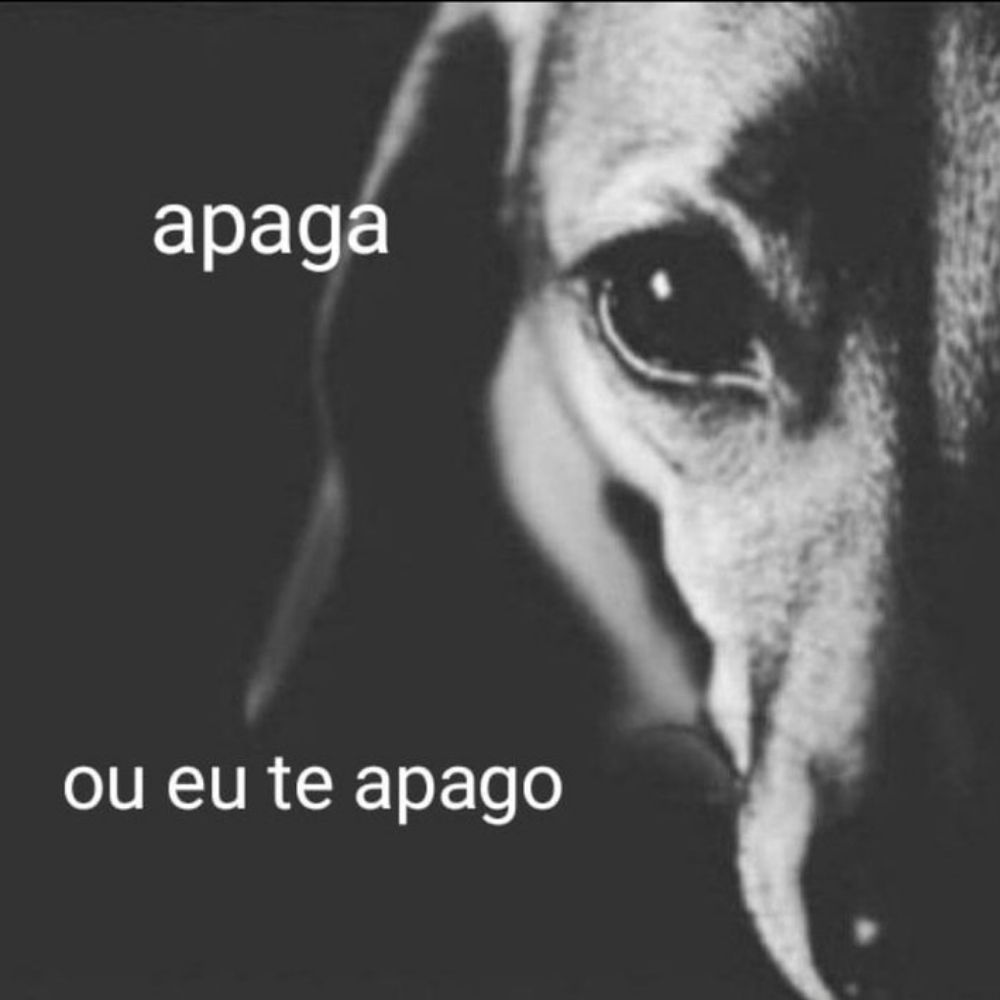 Red Curitiba