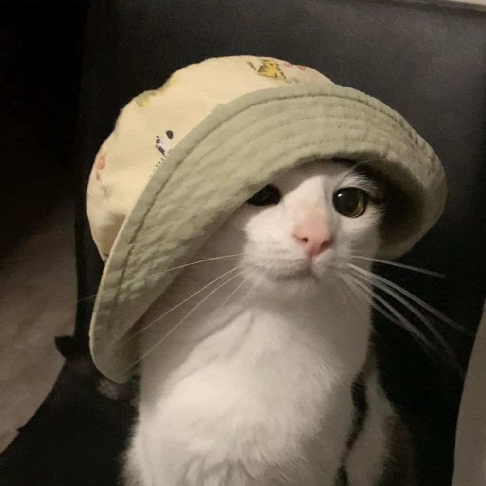 ✰