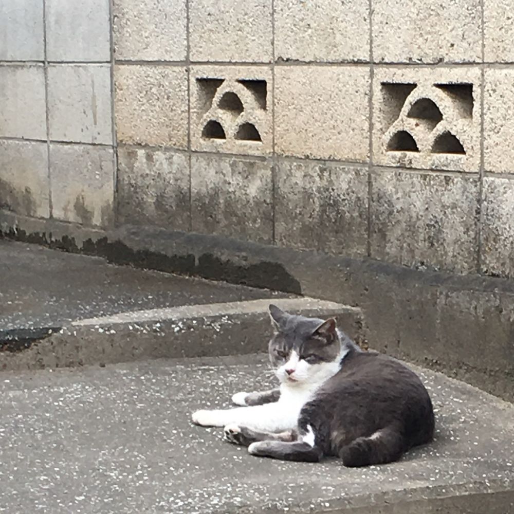もちもちのやま