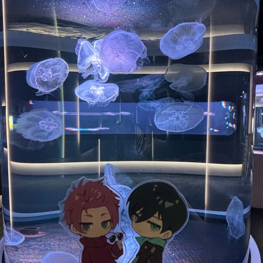 弥宵