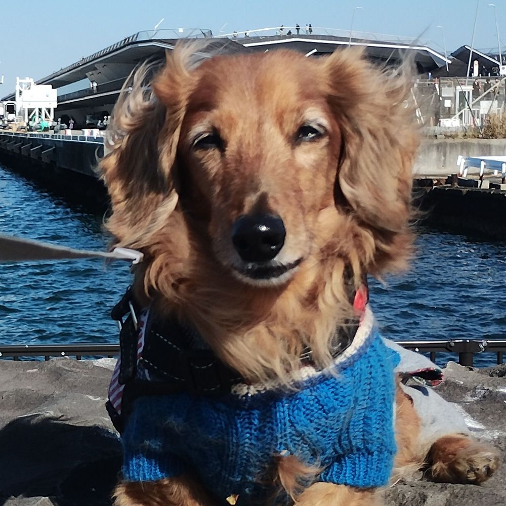 タルト