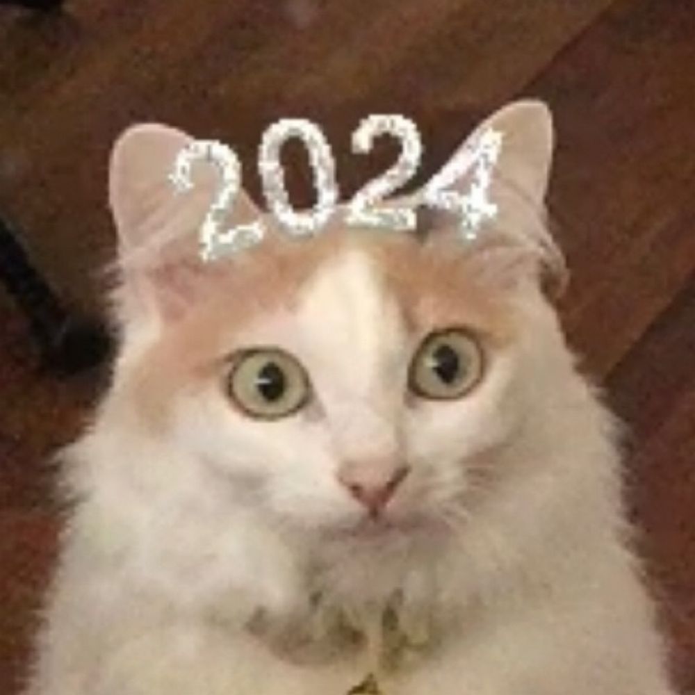 micoみこ🐈🐈‍⬛やっぱり猫が好き