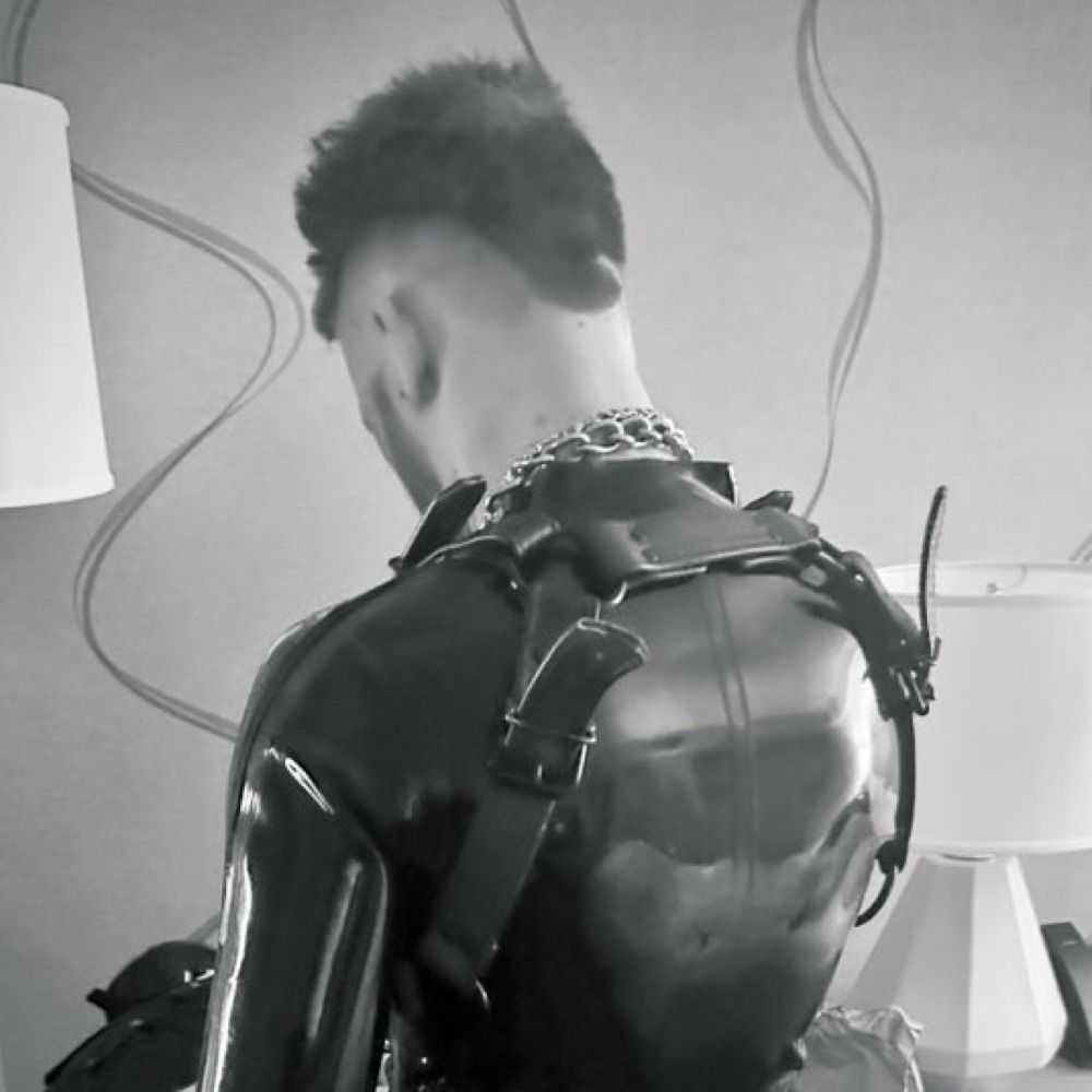 Epsilon the rubber fisted pup