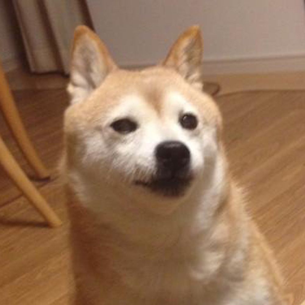 ショーノ