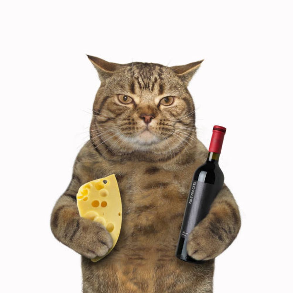 Mr Fromage