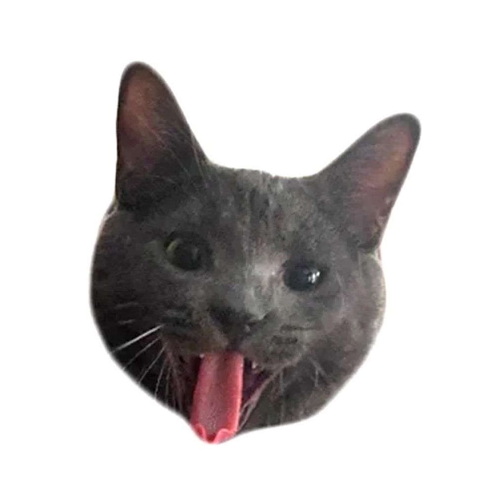 gabe