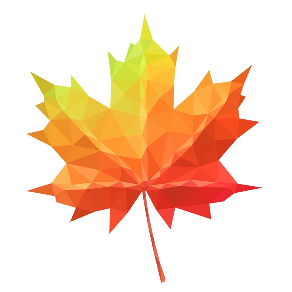Canadians for Tax Fairness