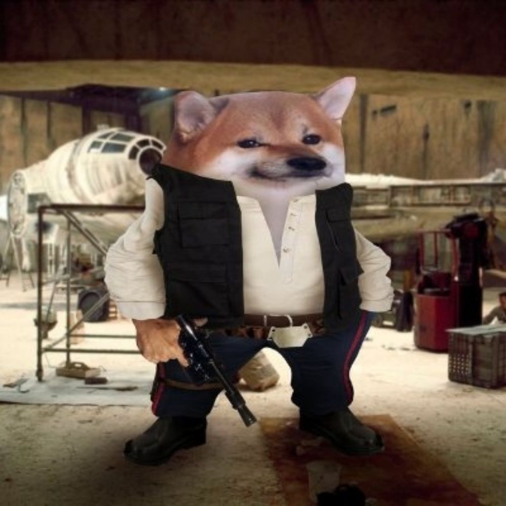 Solo Fella